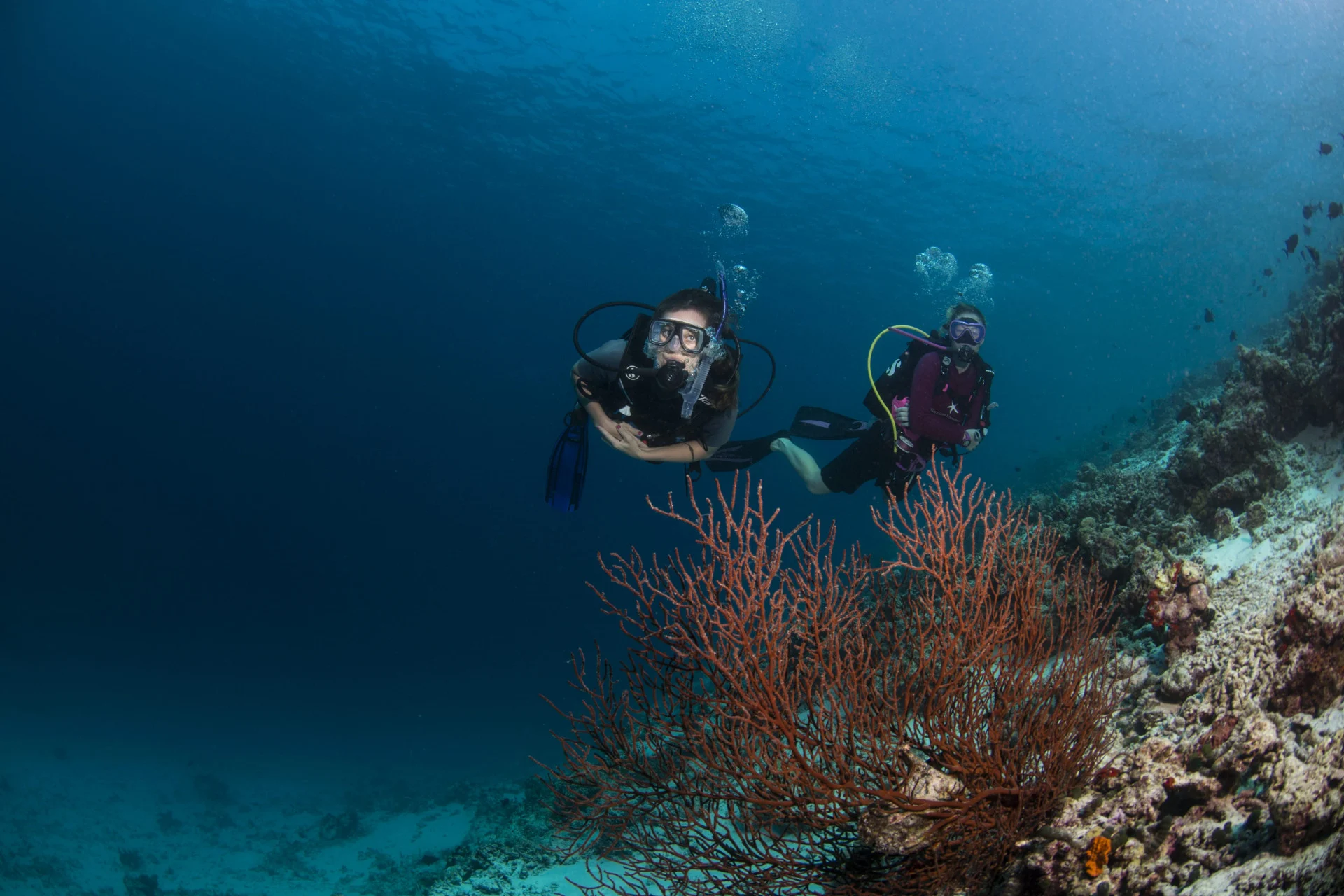 Ozeanmoment vor Gili Lankanfushi