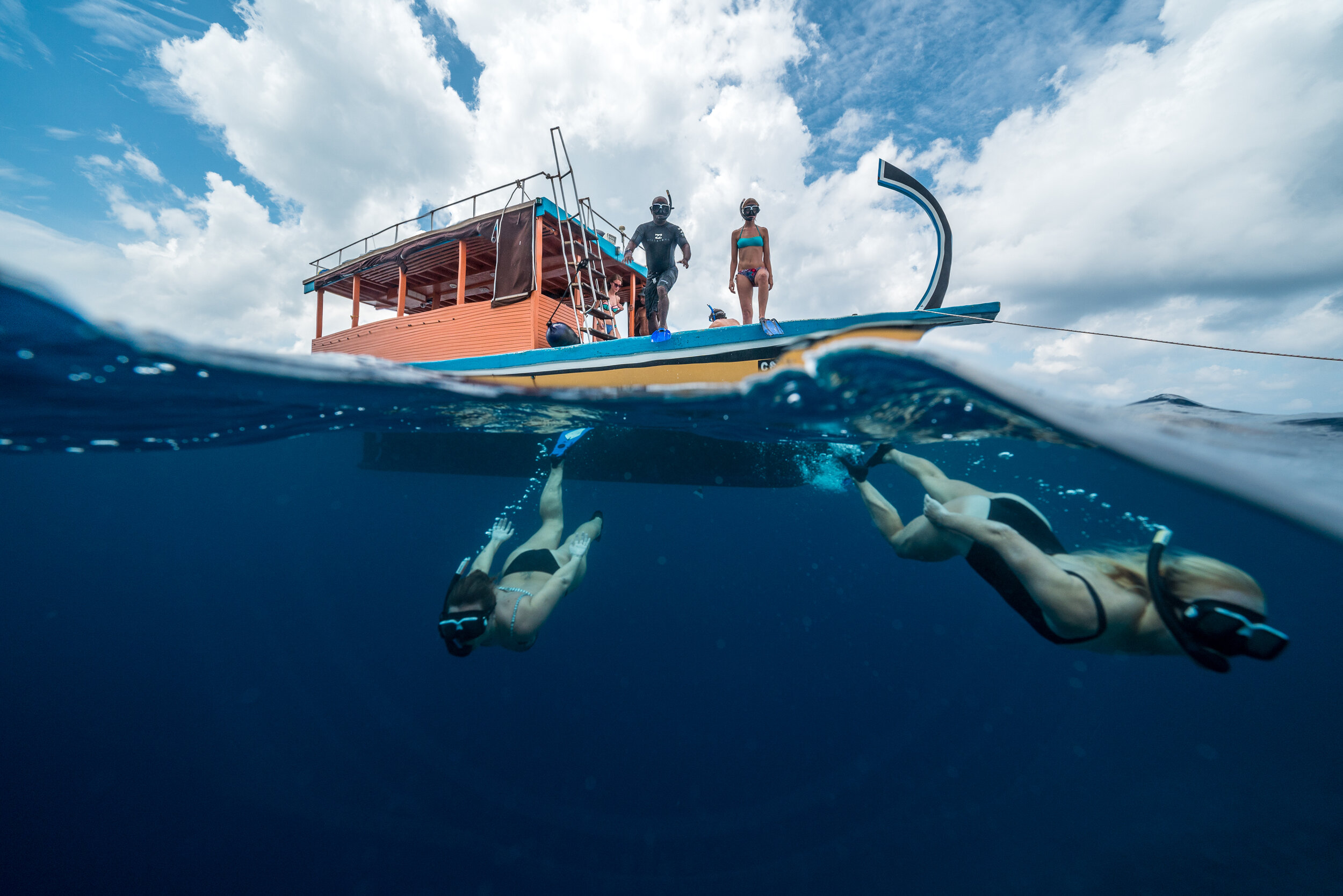 Meeresschildkröte bei Ayada Maldives